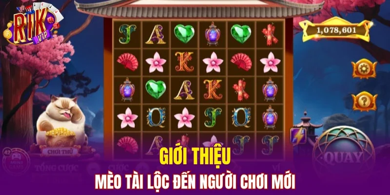 Giới thiệu mèo tài lộc đến người chơi mới